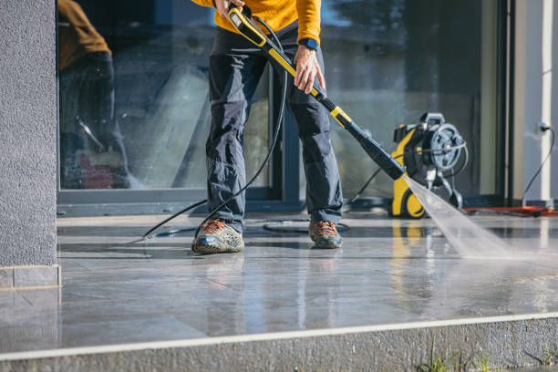 Best Soft Washing  in Pine Manor, FL